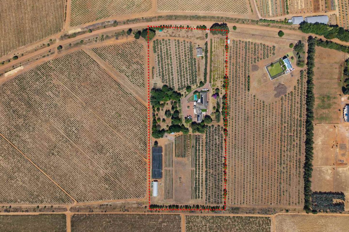 Life-style Olive Farm With Established Operations and Quality Infrastructure - Photo 3