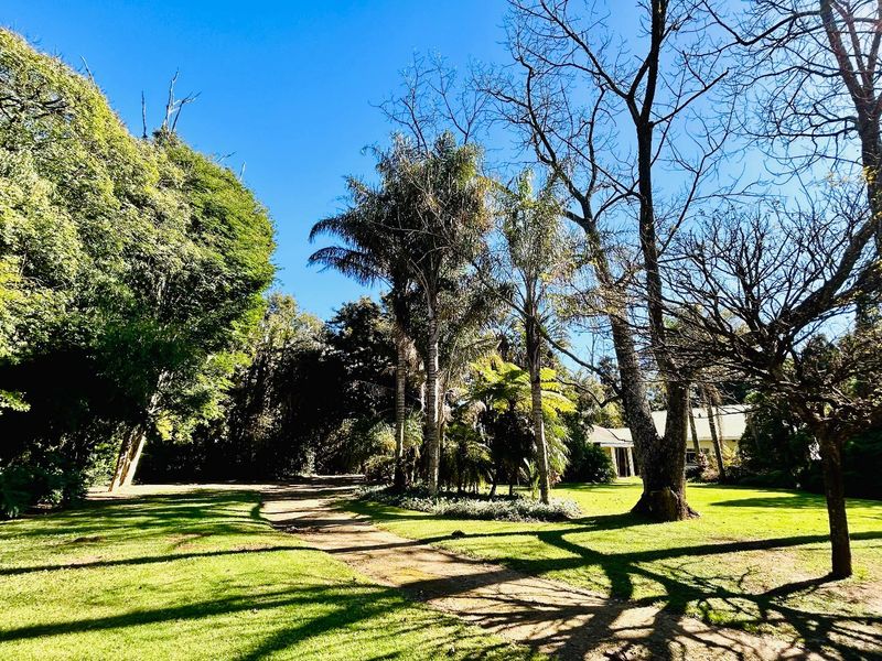 Farm for sale in Vryheid District - Photo 9