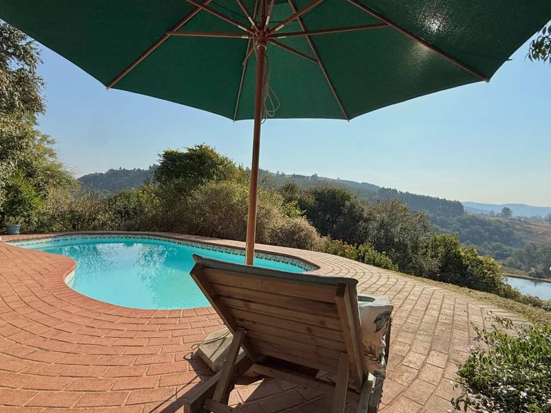 Exceptional Lifestyle Farm with Established Accommodation Business in Dargle - Photo 9