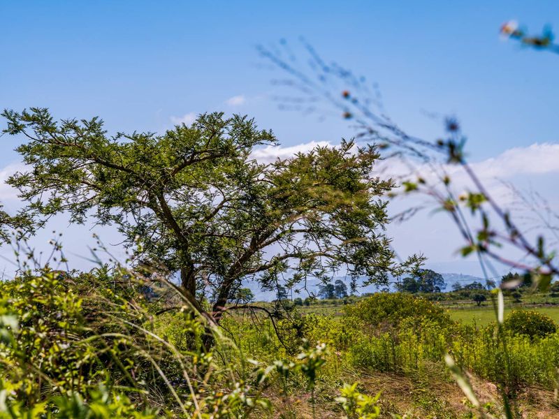 Wonderful Land in Stoneford Country Estate - Photo 10