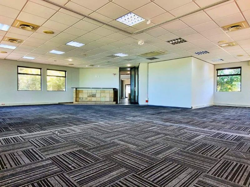 Spacious open-plan office area featuring a suspended ceiling, recessed lighting, air conditioning, and durable carpet tile flooring with a built-in service counter.