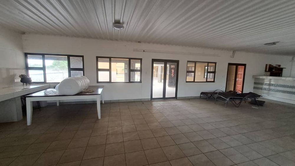 Open-plan Lounge, dining and bar