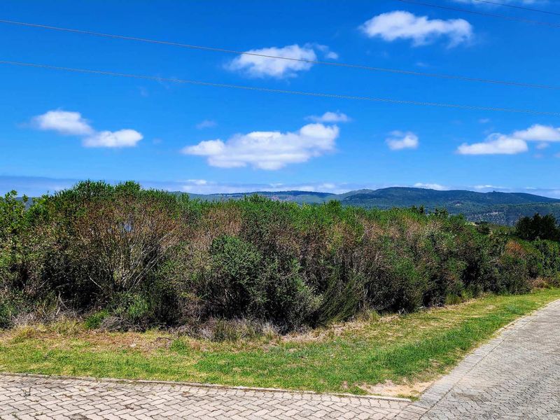 Tranquil Living with Breathtaking Views - Photo 7