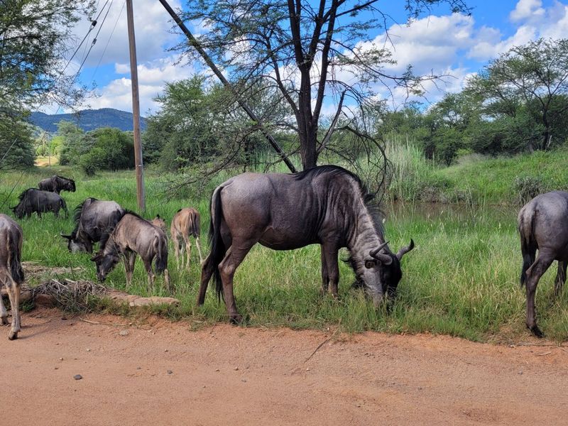 STAND IN TRANQUIL  AREA - Photo 3