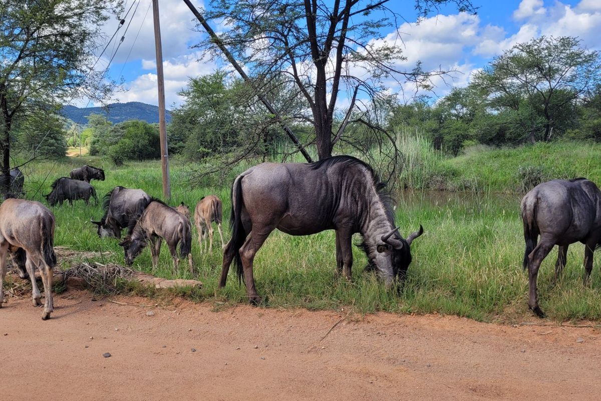 STAND IN TRANQUIL  AREA - Photo 3