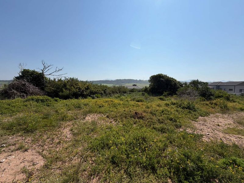 A view of the vacant residential land featuring natural vegetation and surrounding landscape.