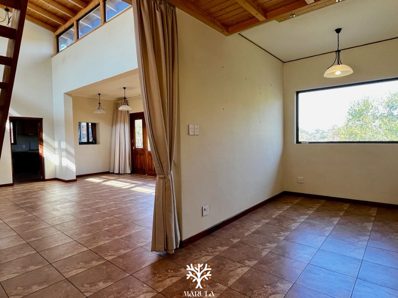Spacious open-plan living area featuring high exposed timber ceilings, tiled flooring, and abundant natural light through large windows and clerestory glazing.