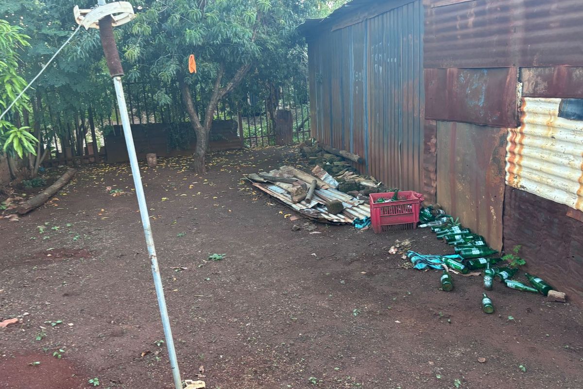 VACANT LAND IN SOSHANGUVE EXT 12 - Photo 4