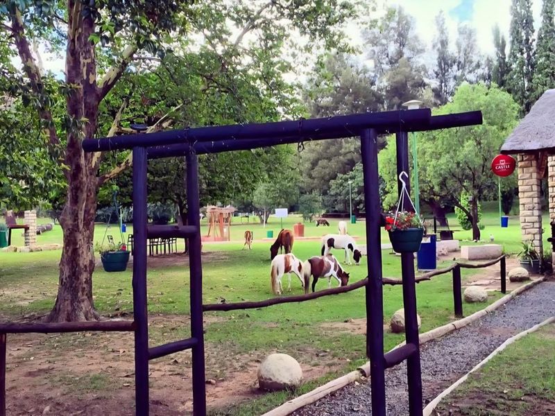 A Landmark Lifestyle Investment at the Gateway to Lesotho - Photo 8