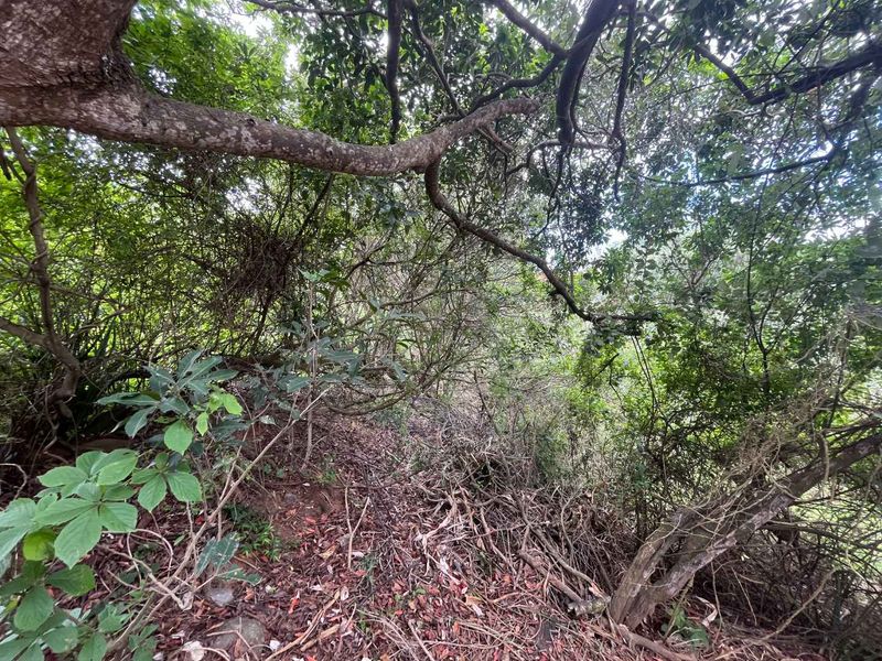 An Exclusive Opportunity to Build a Bespoke Forever Home in Zimbali With Unparalleled, Sweeping Views - Photo 9