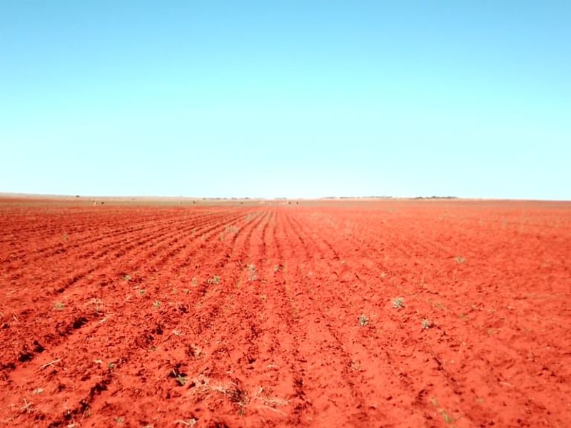 GAME AND CATTLE FARM.INEXHAUSTIBLE WATER.GAME FENCING WIRE.ALSO PLOWLANDS. - Photo 6