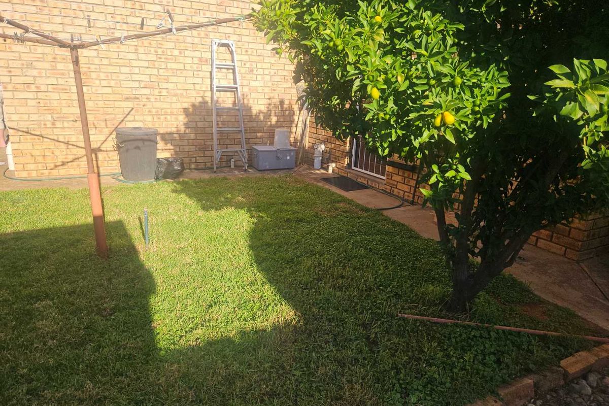 A private rear garden area featuring a lawn, established citrus tree, and brick boundary wall, providing a functional outdoor space for the townhouse.