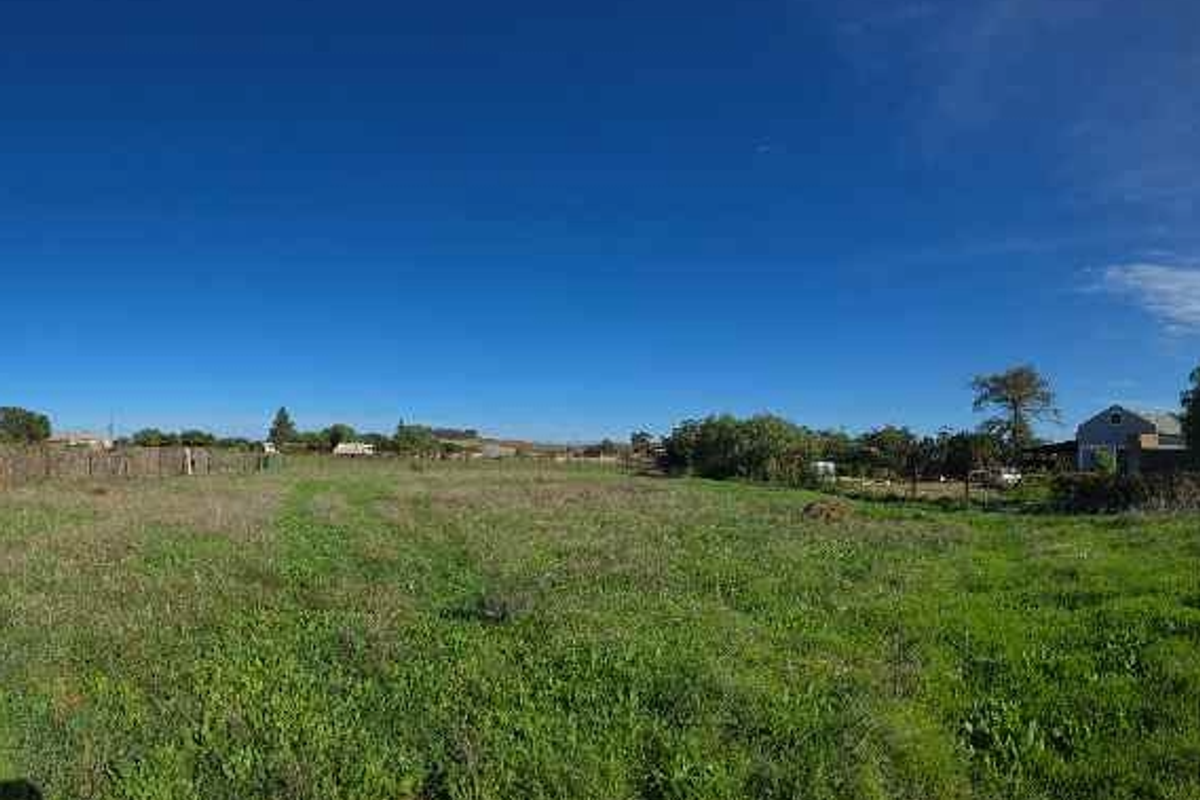 Prime Multi-Use Vacant Land for Sale: Ideal for Homesteading - Photo 3