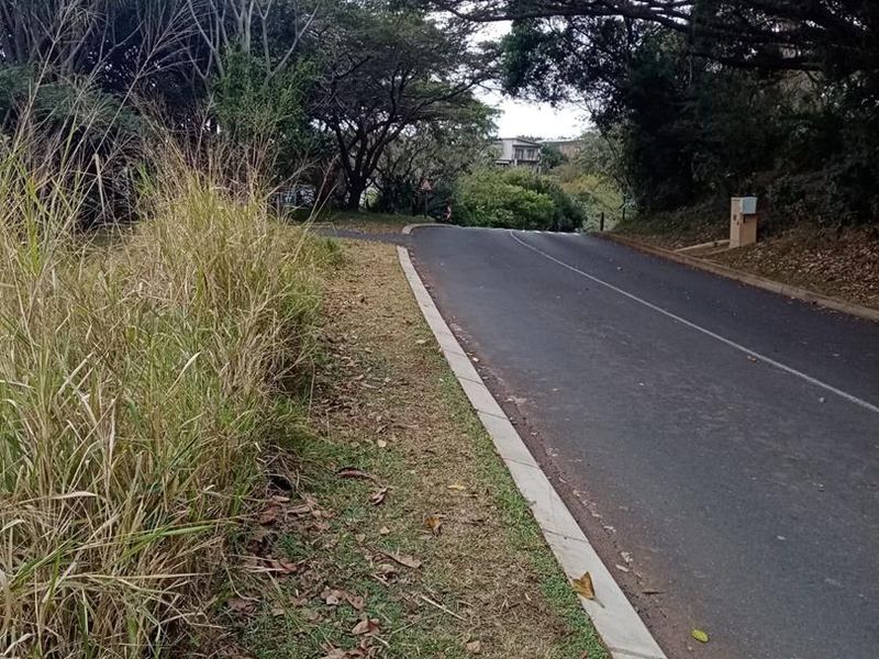 Vacant Land with Approved Architectural Masterpiece - Photo 3