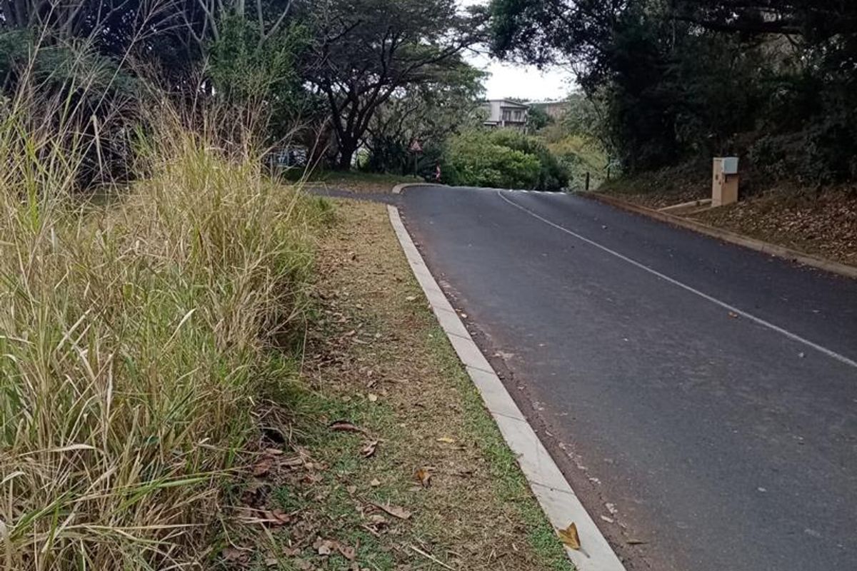 A view of the paved residential street and curb, showing the approach to the property with surrounding mature trees and vegetation.