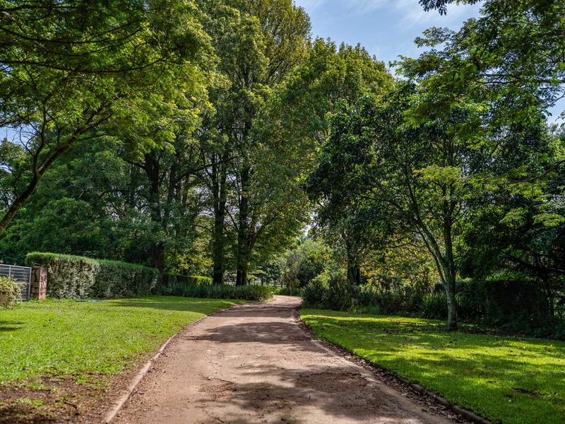 3 Bedroom Luxury Modern Home in Alverstone Equestrian Estate - Photo 2