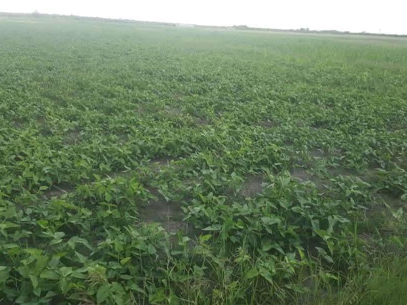 PLOT FOR SALE GROOTFONTEIN- PRIME AGRICULTURAL AREA - Photo 3