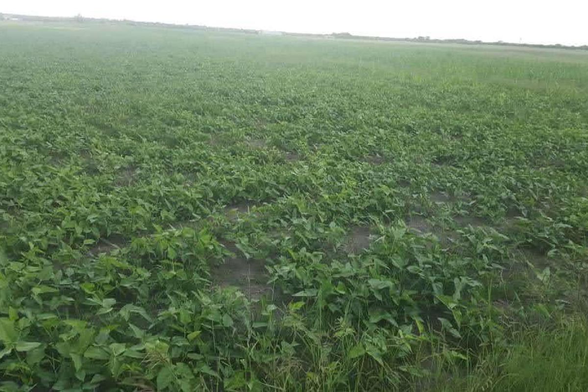 PLOT FOR SALE GROOTFONTEIN- PRIME AGRICULTURAL AREA - Photo 3
