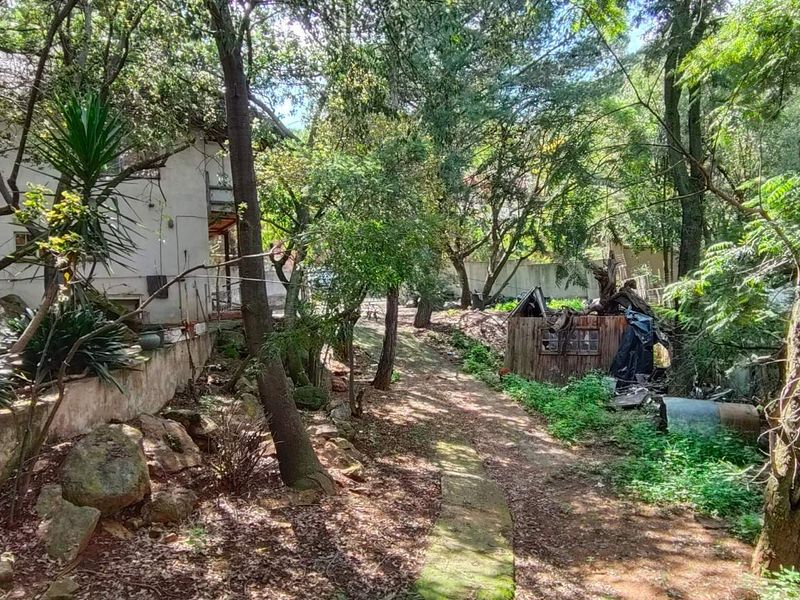 Bassonia Gem: Endless Potential on 4720sqm Stand!!! - Photo 5