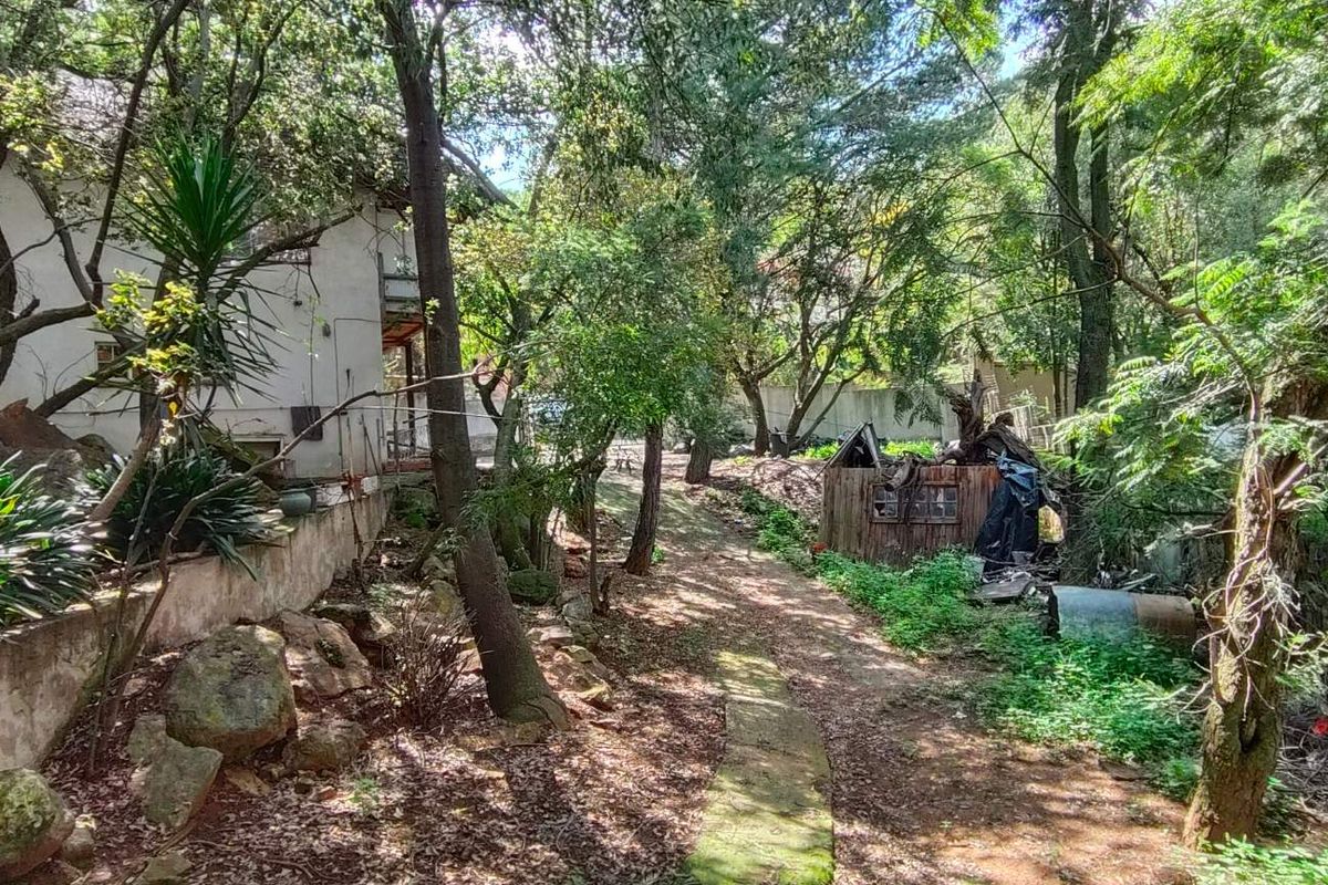 Bassonia Gem: Endless Potential on 4720sqm Stand!!! - Photo 5