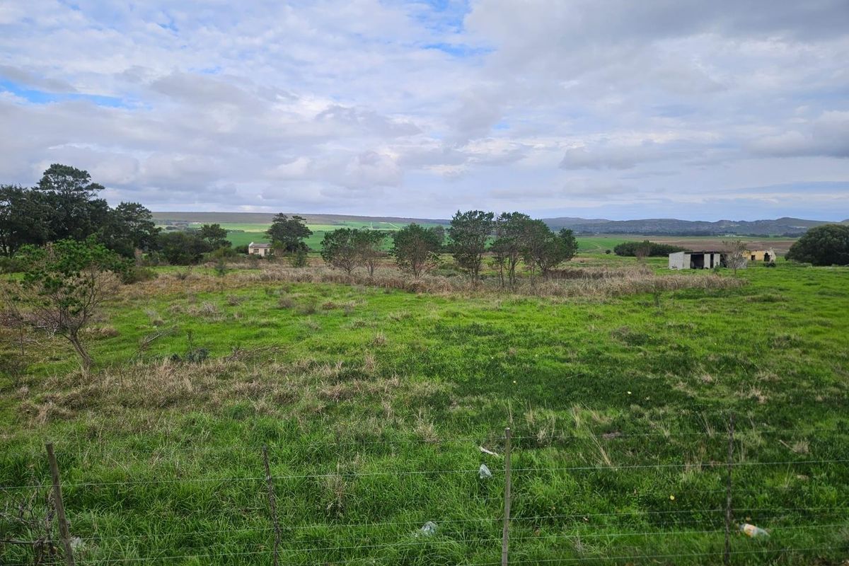 Expansive 10.97 Hectare Lifestyle Farm with Scenic Views - Photo 3
