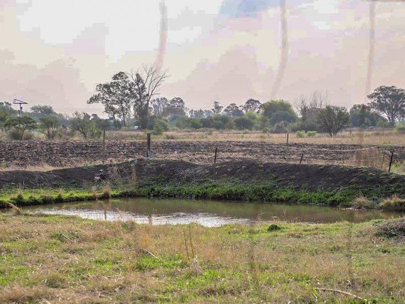 Countryside Smallholding for Sale in Koppies - Photo 6