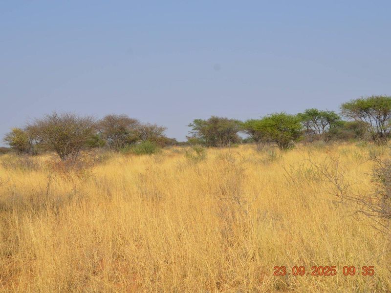BIG PLOTS AHEAD & UP FOR SALE !! - Photo 5