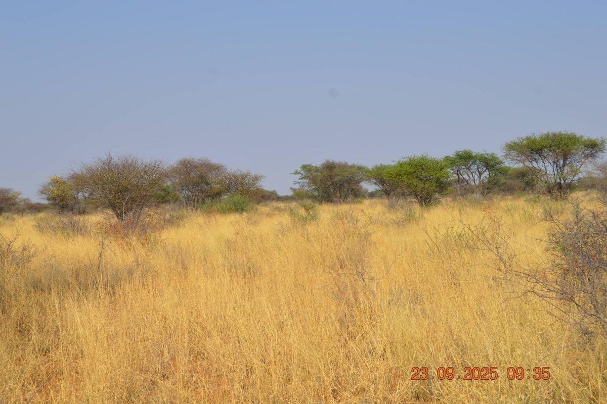 BIG PLOTS AHEAD & UP FOR SALE !! - Photo 5