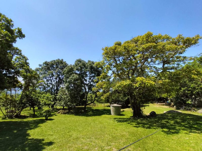 Small holding on the Clarmont road - Photo 7