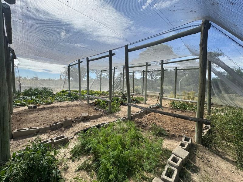 A functional vegetable garden featuring timber support poles and protective shade netting, with organized planting beds bordered by concrete blocks.