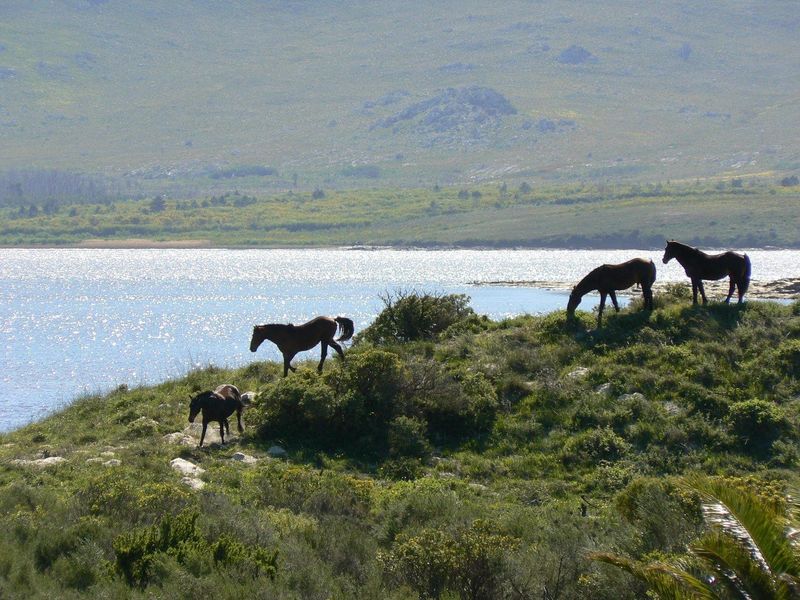 Lagoon Living awaits - Photo 10