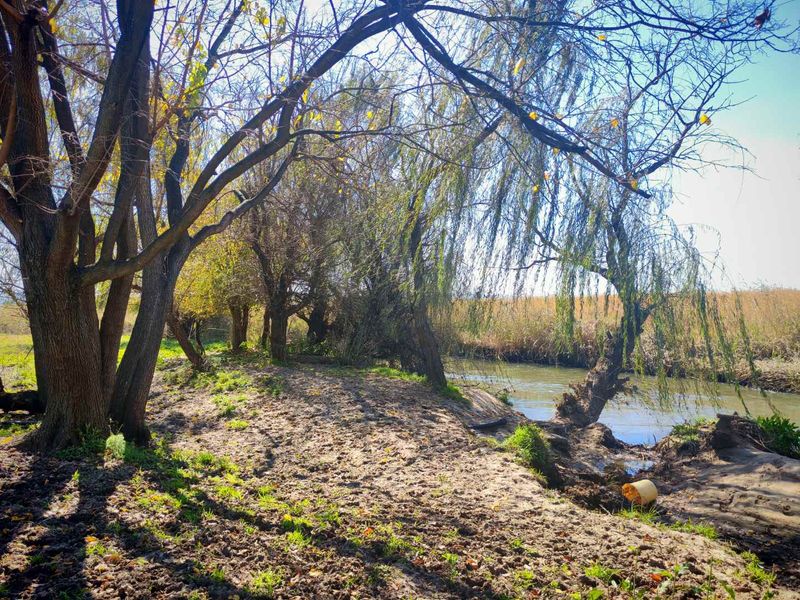 Prime Farm with River & Pool – Ideal for Development or Trucking - Photo 6