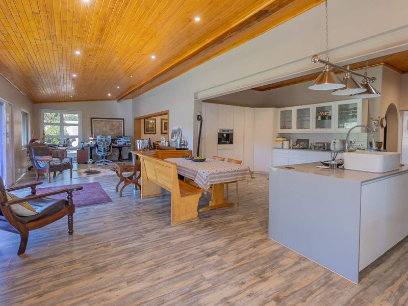 Spacious open-plan living and kitchen area featuring a warm timber ceiling, modern kitchen island with sink, and seamless flow to the outdoor space.