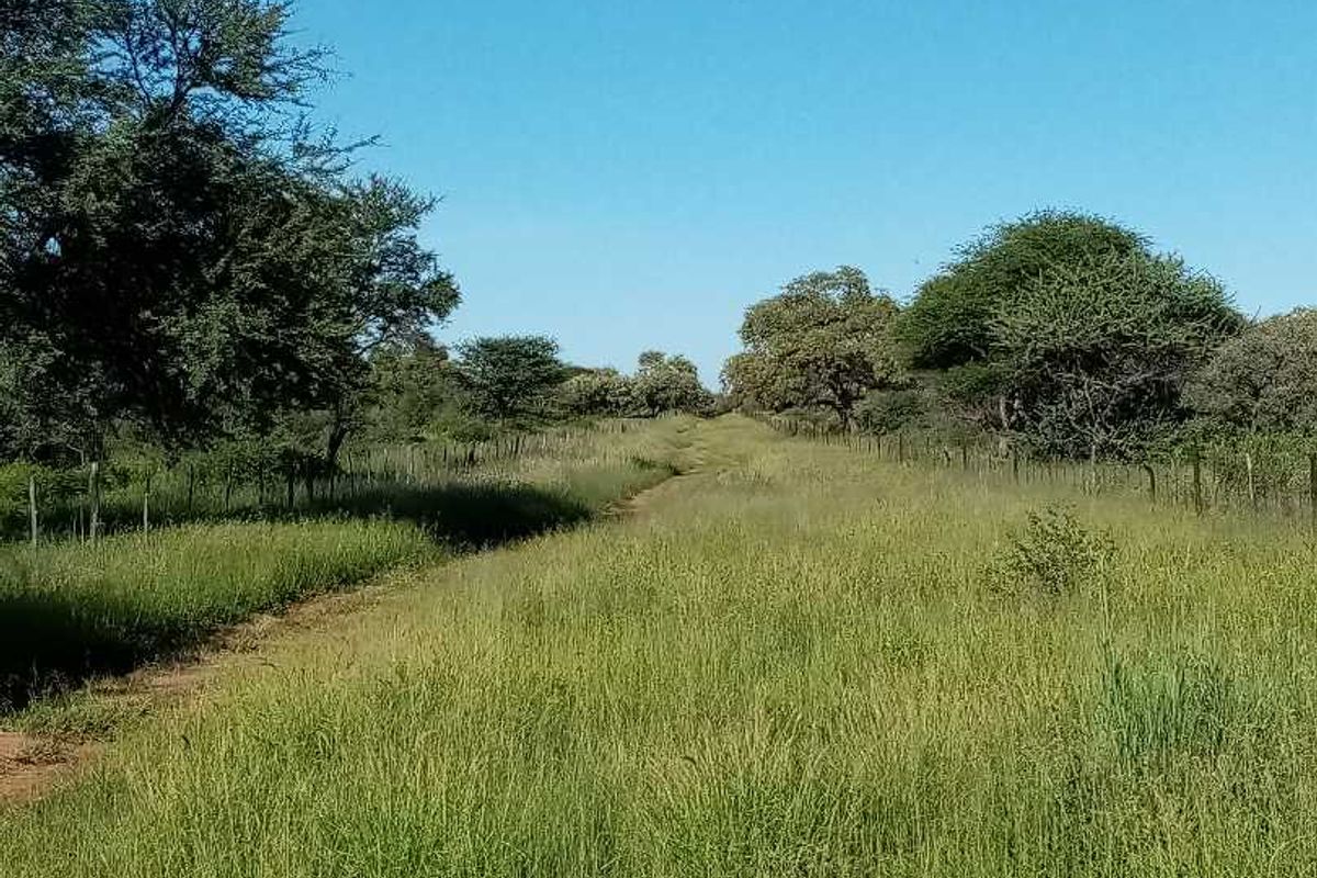 19 AGRICULTURAL SMALLHOLDINGS FOR SALE IN OTAVI, NAMIBIA - Photo 2