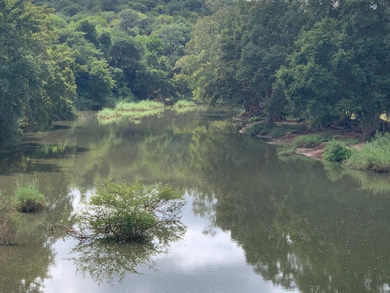 Vacant land for sale in the popular Elephant Rock Eco Estate. - Photo 8