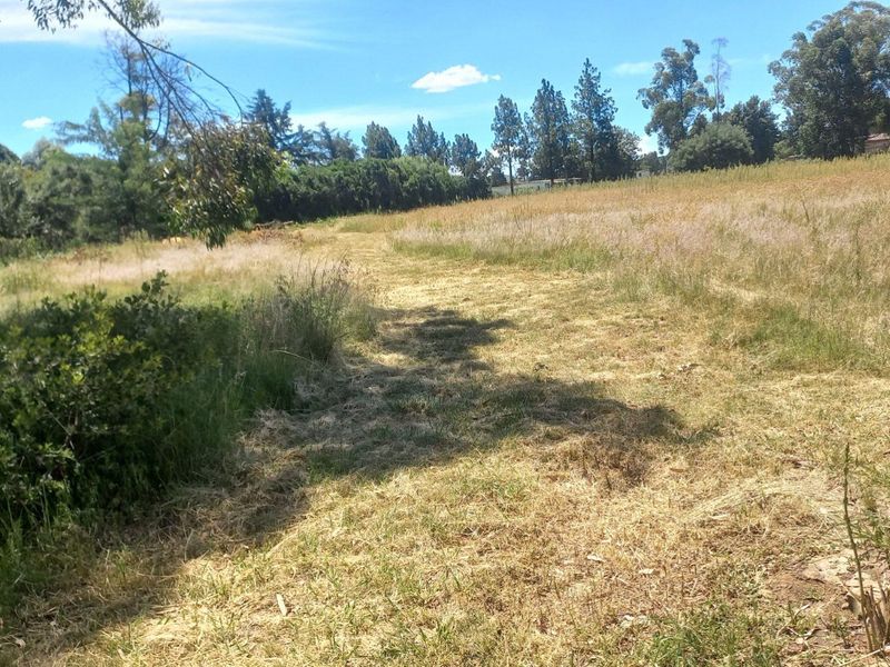 Build Your Dream Home/Business on Expansive Land in Walkerville - Photo 3