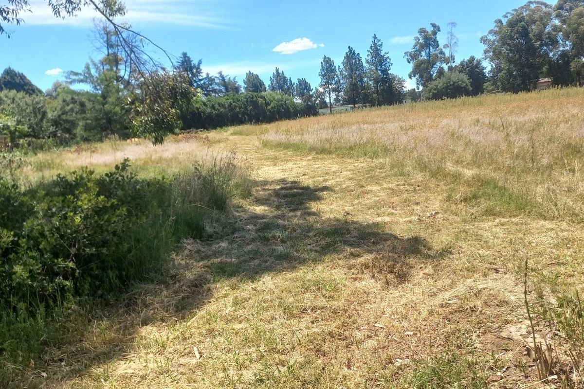 Build Your Dream Home/Business on Expansive Land in Walkerville - Photo 3