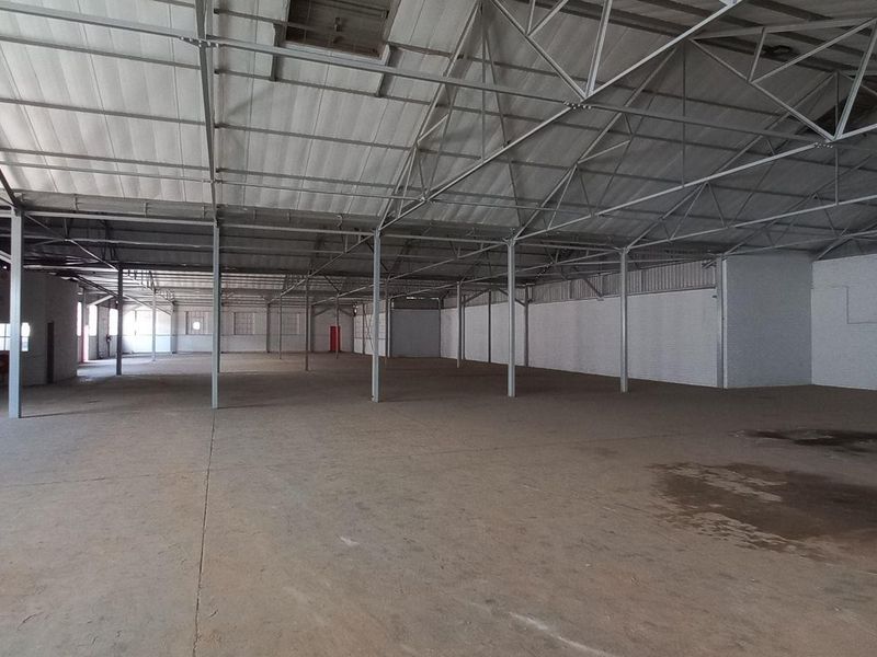 1 400m2 New Era Springs Warehouse To Let - Photo 7