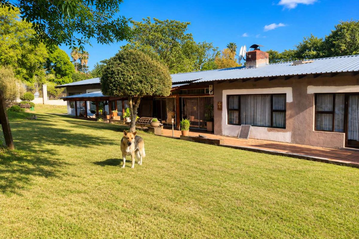 Rear view of the property featuring a spacious lawn, a tiled patio area, and a single-story structure with a corrugated metal roof.