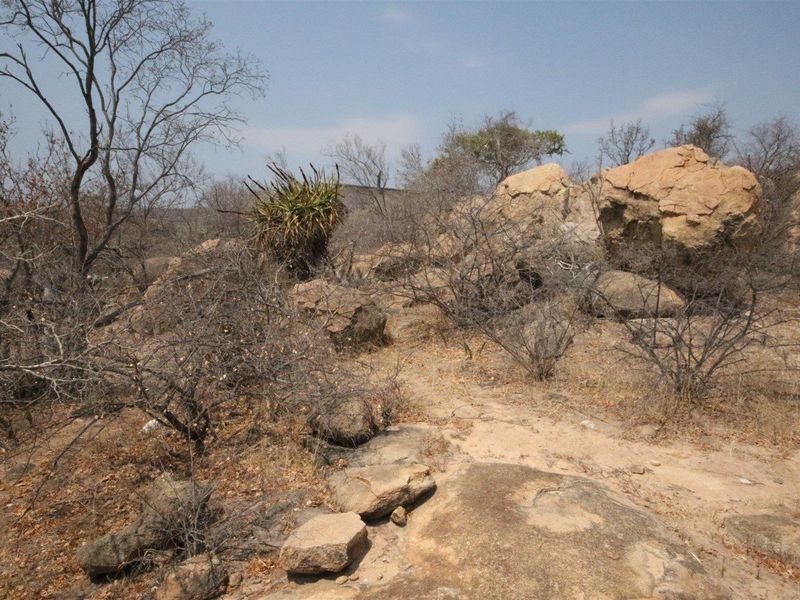 Exclusivity and quietness is the name of the game. - Photo 6