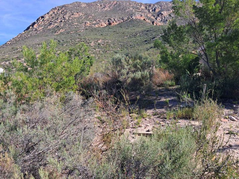 A scenic view of the natural landscape and mountain backdrop on this vacant residential property.