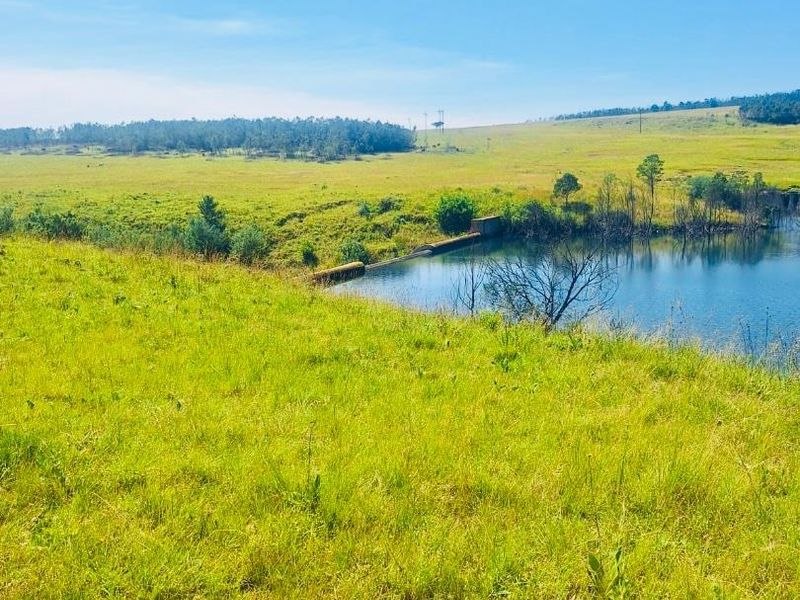 farm for sale in Vryheid area - Photo 2