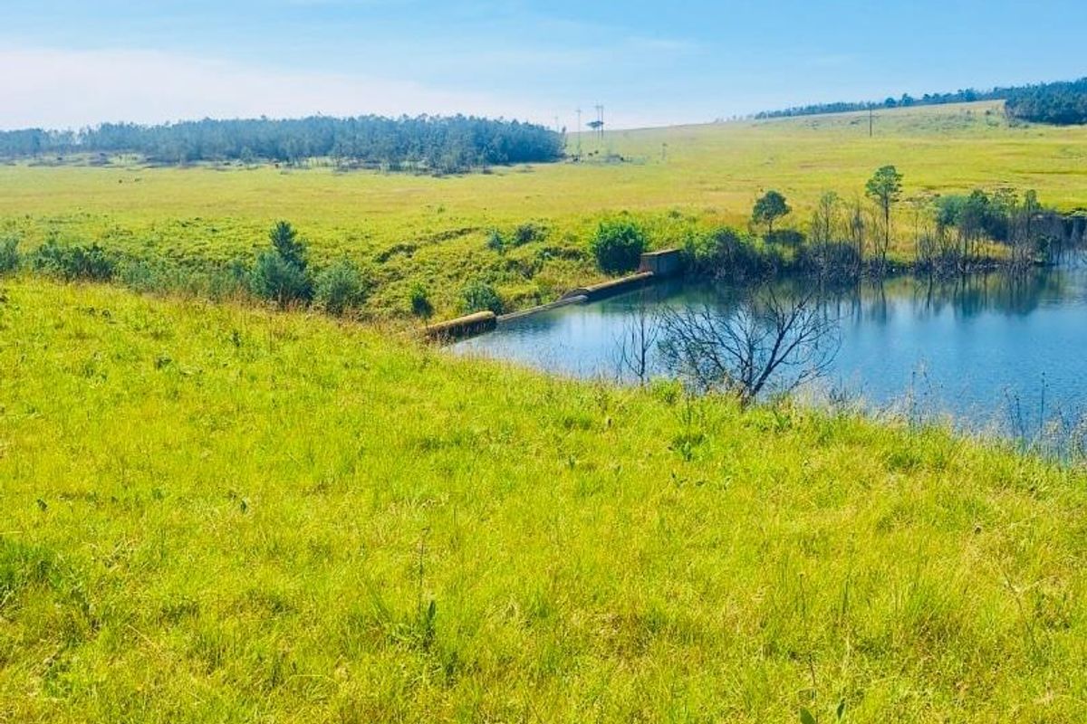 farm for sale in Vryheid area - Photo 2