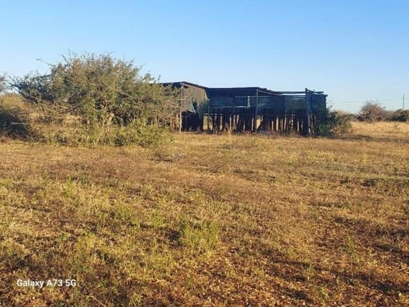 A view of an open field featuring a weathered, dilapidated shade netting structure supported by timber posts.