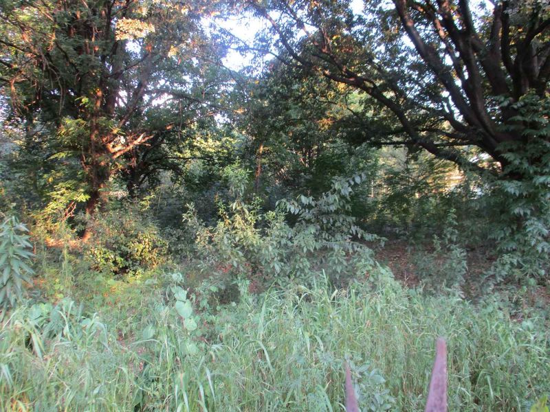 Tranquility - Photo 2