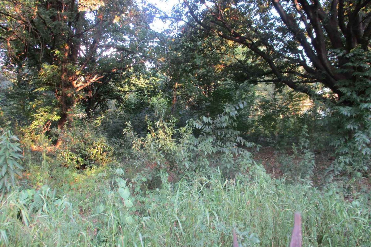 Tranquility - Photo 2