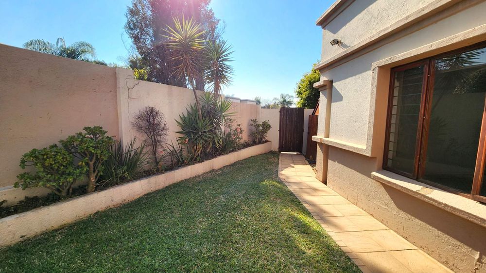 Garden in front of living room window.
