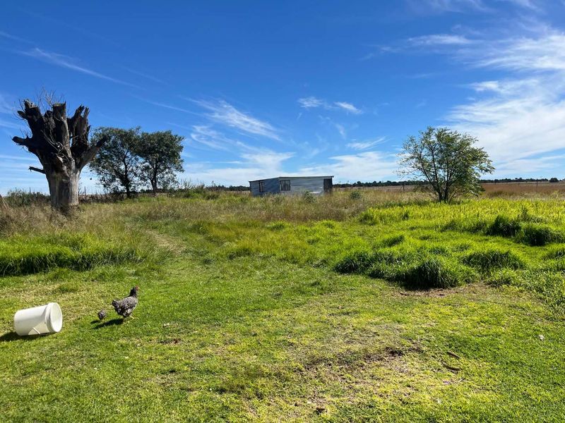 Restore, Cultivate, Live: 52-Hectare Farm Near Bronkhorstspruit! - Photo 5