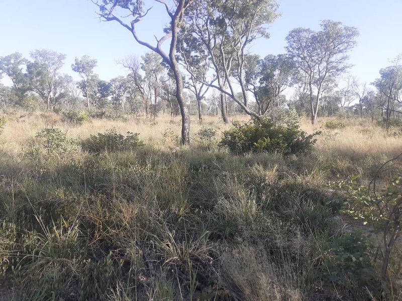 UNTOUCHED AFRICAN WILDLIFE TOURISM FARM FOR SALE OTJOZONDJUPA REGION (TSUMKWE) – NAMIBA - Photo 10