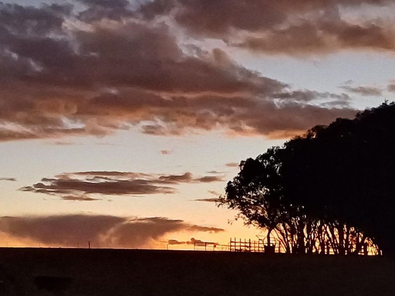 A scenic sunset view over the farm landscape, featuring silhouettes of trees and distant fencing against a dramatic cloudy sky.